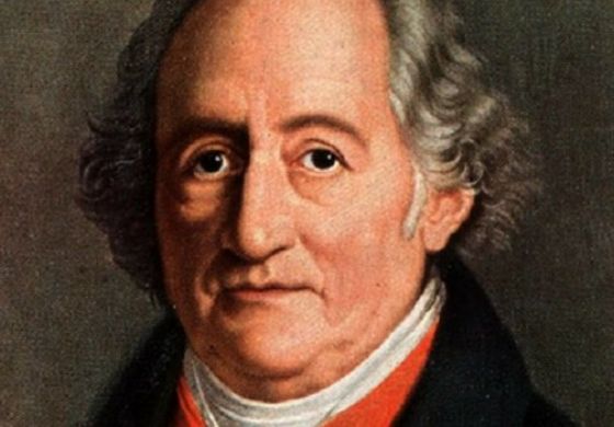 9 Lições de Goethe