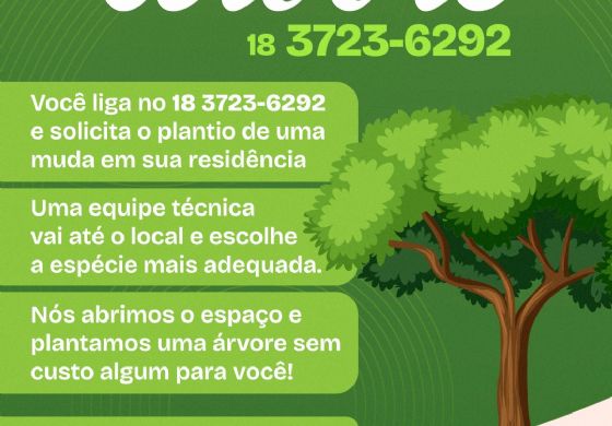 Programa Disk Árvore: Semeando o Futuro Verde de Andradina (SP)