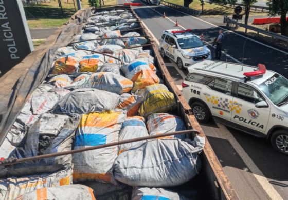 Motorista é preso com mais de uma tonelada de cocaína em carreta na rodovia Marechal Rondon