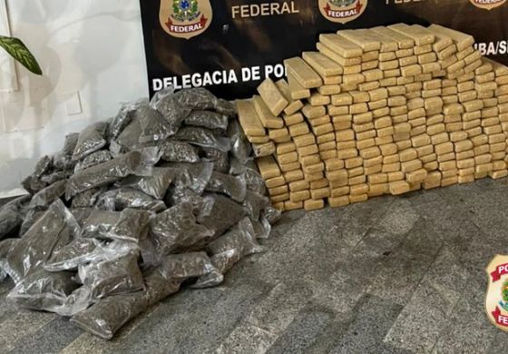 PF apreende mais de 230 kg de maconha em Andradina