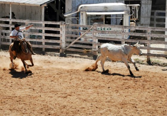 Justiça de Andradina proíbe rodeios sob multa de R$ 150 mil