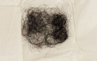 Cabelo de Michael Jackson vai virar bolinha	