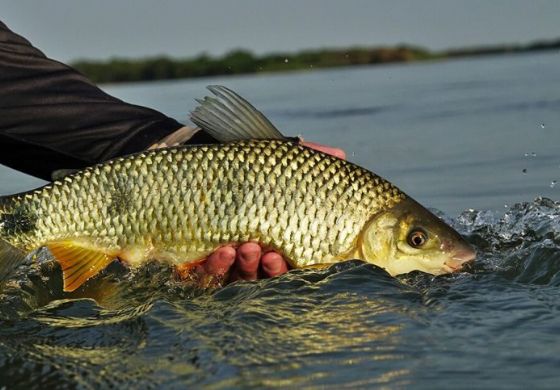 TL receberá curso gratuito de Formação de Condutores de Pesca Esportiva