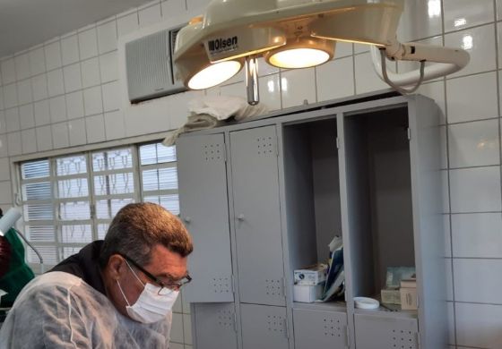 UVZ de Andradina realizou 1,5 mil castrações de gatos em um ano