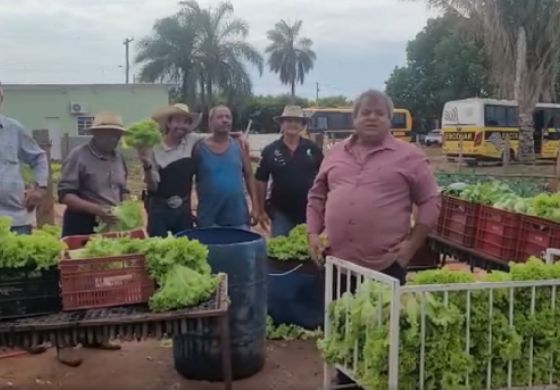 Horta de Murutinga do Sul já atende quase 200 famílias