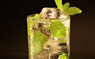 Aprenda a fazer uma bebida típica de Cuba: O Mojito