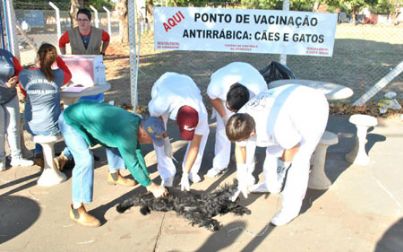 Campanha de vacinação em cães e gatos é prorrogada em Andradina