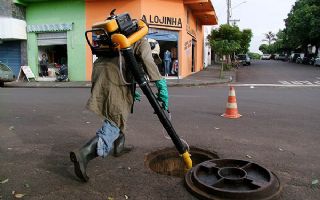 Mosquito da dengue já resiste a inseticida