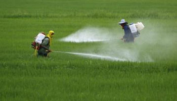 Agrotóxico endosulfan será banido no Brasil em 2013; demora é criticada