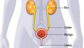 Infecção Urinária:Fique atento aos sintomas e aprenda a se prevenir