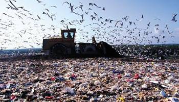 Metade das cidades brasileiras ainda usam lixão a céu aberto