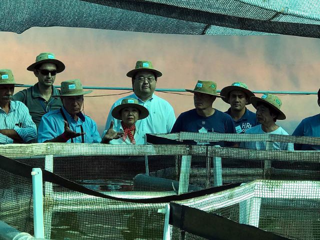 Tamiko, com Jamil, Fernando Magno e Makoto buscam soluções tecnológicas para fomentar um arranjo produtivo local e regional na área da criação de peixes voltada aos assentamentos da região. Foto: Divulgação/Prefeitura