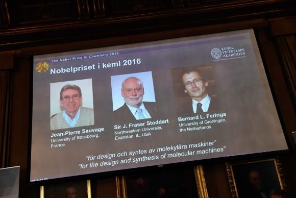Prêmio Nobel de Química - Foto Henrik Montgomery/LusaHenrik Montgomery/Lusa