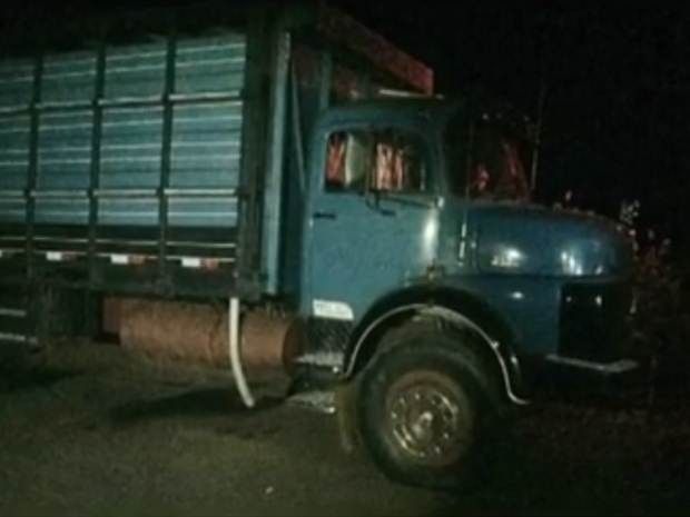 Caminhão apreendido usado para transportar o gado (Foto: Reprodução / TV TEM)