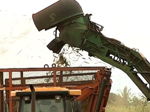 Preço da produção da cana vem preocupando produtores (Foto: Reprodução / TV Tem)