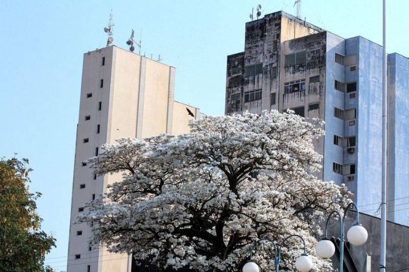 Divulgação/Prefeitura