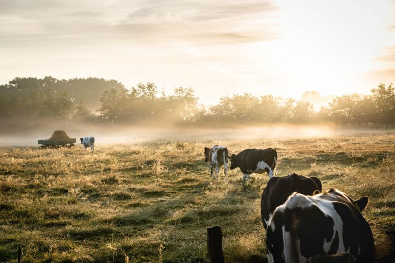 Foto de Lukas Hartmann no Pexels