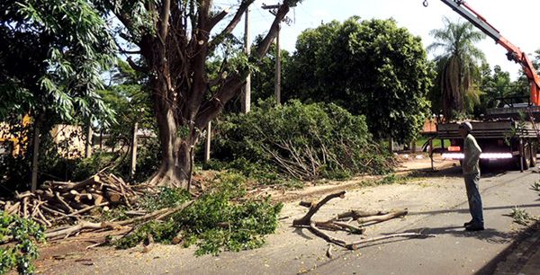 Foto: Divulgação/Prefeitura