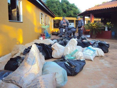 O material estava em uma residência no bairro do Porto; duas pessoas foram detidas e multadas. Foto: Polícia Militar de Ilha Solteira - Divulgação 