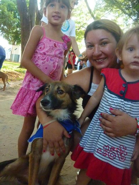 Animal é adotado por família em última feira. Foto: divulgação