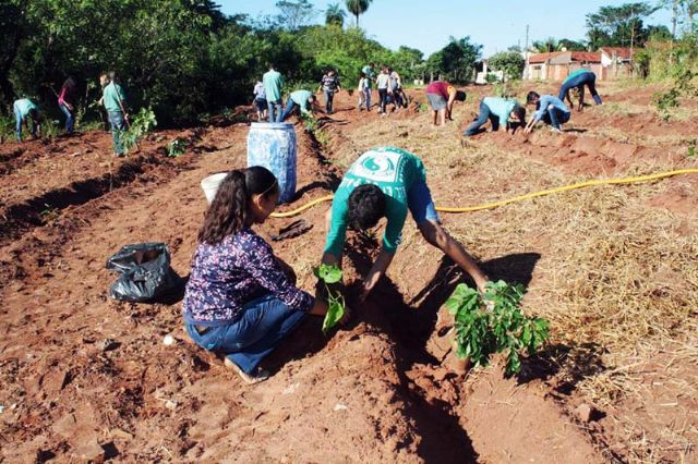  Dia do Planeta foi celebrado com plantio de 260 mudas na região do dissipador do Jardim Europa. Foto: Divulgação/Prefeitura