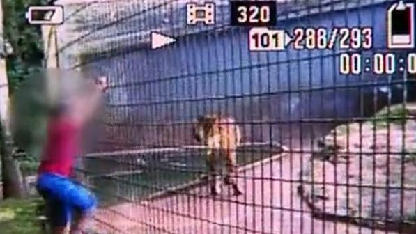 Vídeo gravou momentos que antecederam o ataque (Reprodução / TV Globo/VEJA)