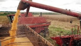 A redução da produtividade de soja e milho influenciou a queda da estimativa da Conab para a safra 2015/2016Arquivo/Agência Brasil