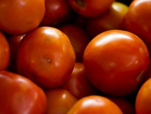 Tomate, vilão do início do ano, voltou a ter preços aumentados, depois de deflação em setembro (Elza Fiuza/ABr)