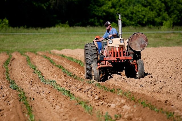 Cadastro Ambiental Rural é uma das ferramentas mais importantes desenvolvidas pela Secretaria.Foto: pexels.com