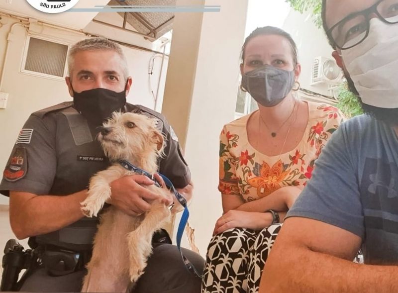 Andradina: cachorro vítima de maus-tratos é resgatado - Foto: Polícia Militar/Divulgação