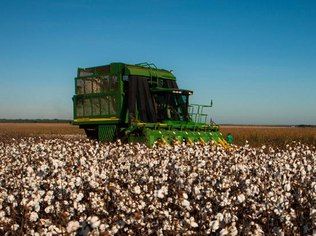 Produção de etanol da Cosan, uma das maiores do setor. Foto: divulgação