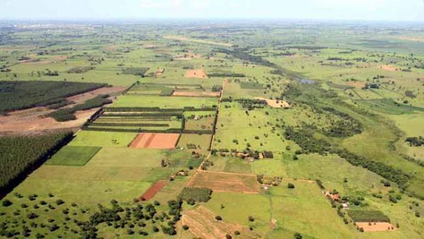 Foto: Divulgação/Prefeitura