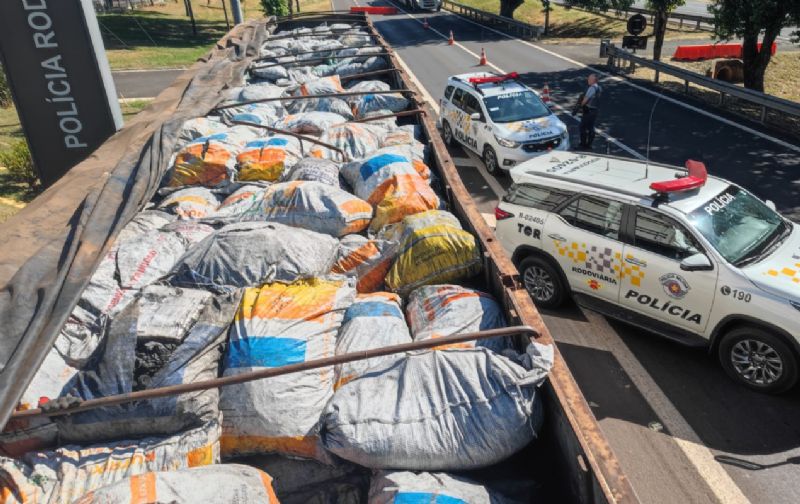 Foto: Polícia Rodoviária/Divulgação