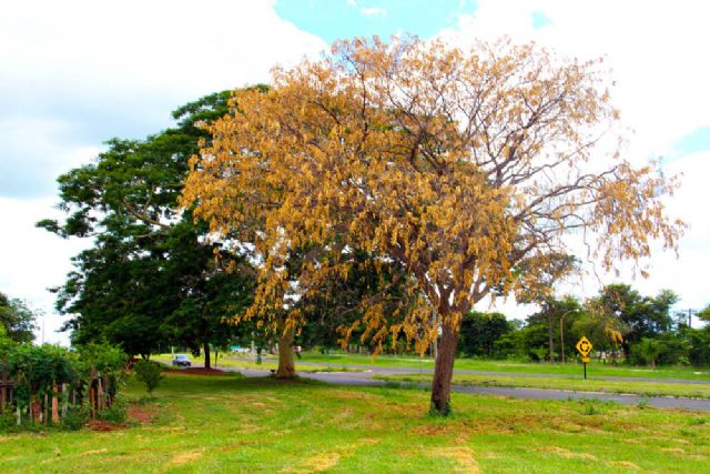 Foto: Divulgação/Prefeitura