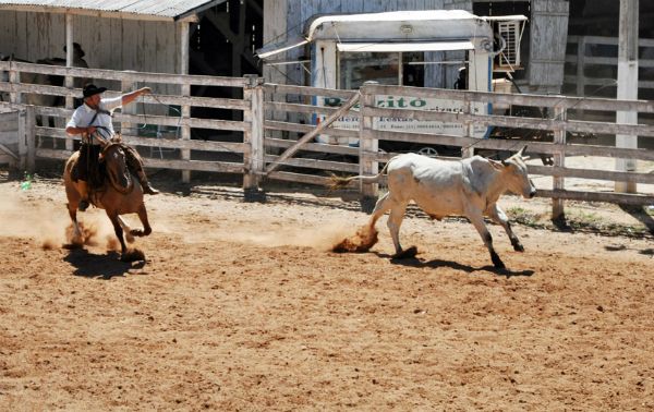 Rodeios não podem mais ter prova do laço em dupla (Foto: Divulgação)