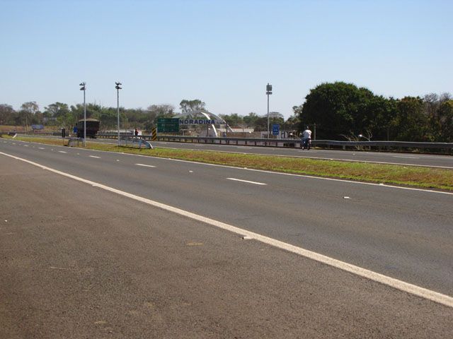 Animais soltos na pista são problemas nas rodovias da região. Foto: Arquivo/Andravirtual