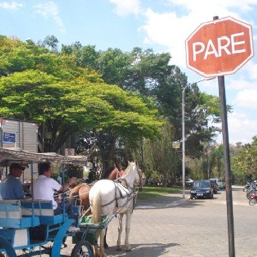 Charreteiros precisam de carteira de habilitação para poder trabalhar - Charreteiros precisam de carteira de habilitação para poder trabalhar -