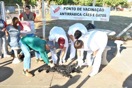 Foto: Divulgação/Prefeitura