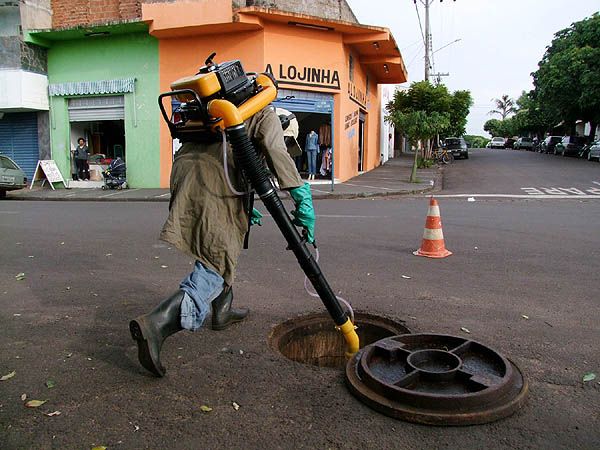 Uso excessivo de inseticidas está tornando os descendentes mais fortes e resistentes