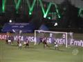 Lances Palmeiras 4 x 0 Flamengo-PI