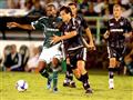 Lances Palmeiras 1 x 1 Botafogo