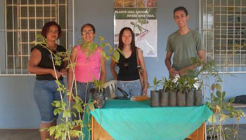 Moradores de Pereira Barreto podem adotar plantas 