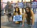 Protesto contra animais em circos