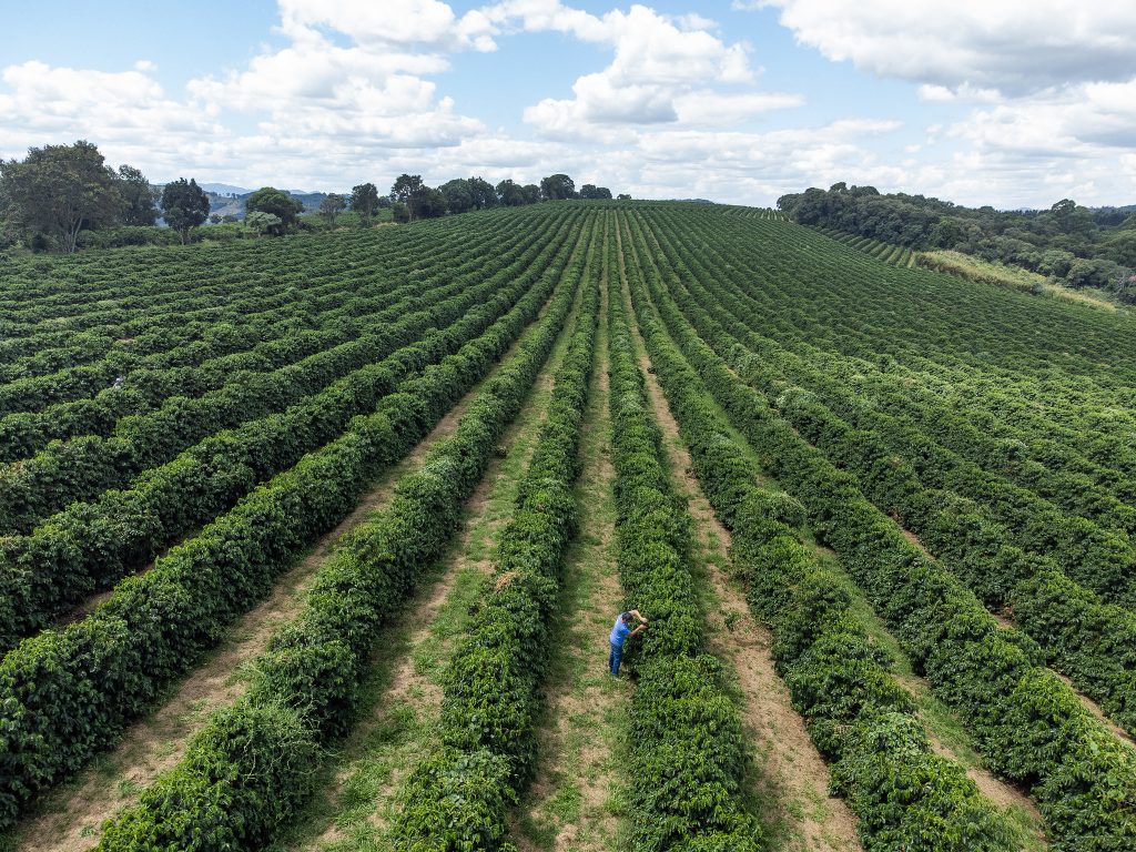 Agrishow 2026: Com o maior crédito rural da história, SP anuncia pacote de R$ 455 mi para o agro paulista
