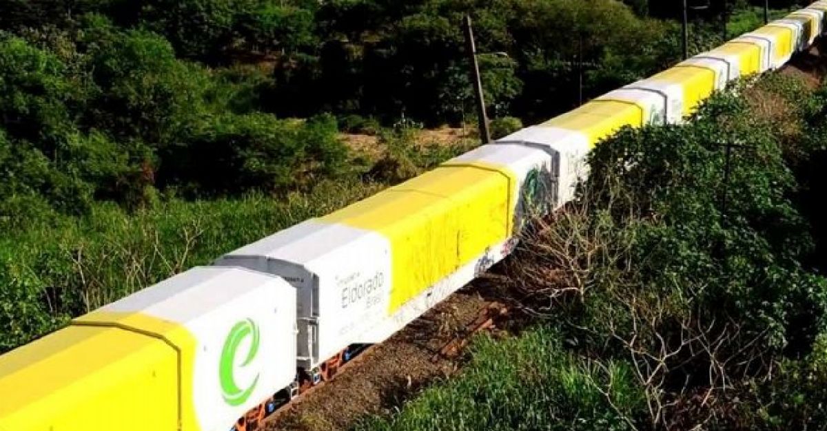 ANTT autoriza Eldorado a desapropriar áreas para novo ramal ferroviário em Mato Grosso do Sul - ANTT autoriza Eldorado Brasil Celulose a desapropriar áreas em MS para ramal ferroviário de 88,9?km