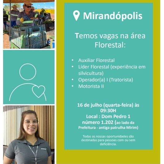 Arauco promove seleção presencial para vagas na área florestal em Mirandópolis - Arauco promove seleção presencial em Mirandópolis Arauco promove seleção presencial para vagas na área florestal em Mirandópolis - Arauco promove seleção presencial em Mirandópolis