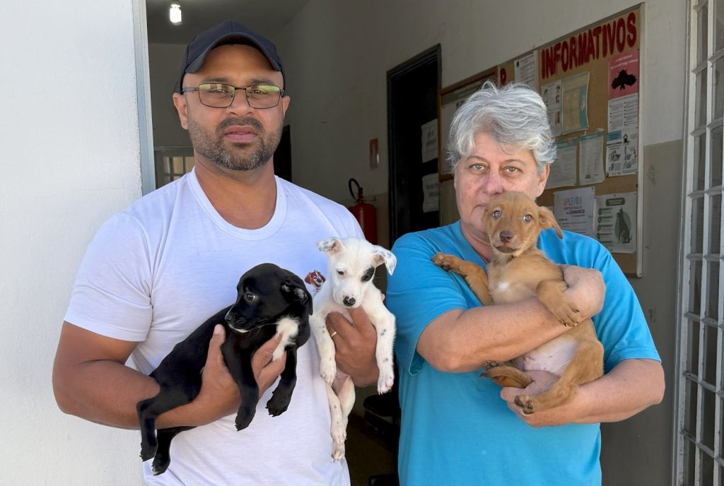 CCZ de Araçatuba disponibiliza cães e gatos para adoção responsável - Cães e gatos estão disponíveis para adoção responsável no CCZ de Araçatuba
