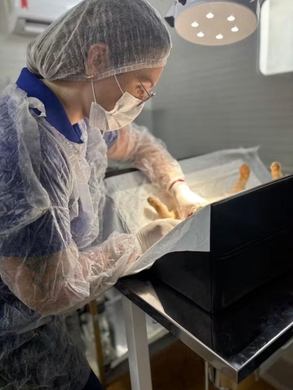 Castramóvel inicia atendimentos em Paranápolis a partir de 27 de abril