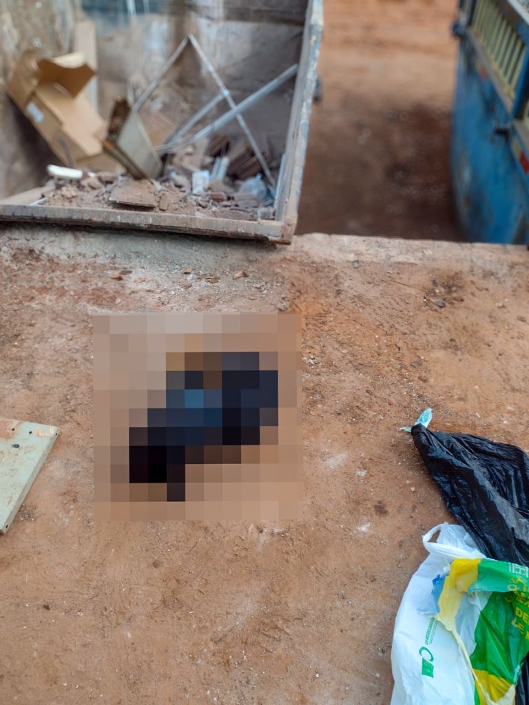 Descarte irregular de cachorro no Ecoponto do Lago Azul gera revolta e pode resultar em multa - Descarte de corpo de pet em ecoponto choca funcionários e Meio Ambiente estuda alterações do serviço Descarte irregular de cachorro no Ecoponto do Lago Azul gera revolta e pode resultar em multa - Descarte de corpo de pet em ecoponto choca funcionários e Meio Ambiente estuda alterações do serviço