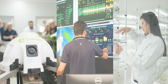 Eldorado Brasil leva tecnologia e inovação ao Show Florestal 2025 em Três Lagoas - Eldorado Brasil apresenta estande tecnológico e interativo no Show Florestal 2025 em Três Lagoas